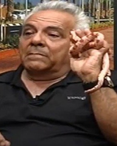 גלעד פלש