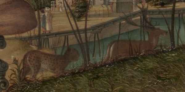 ?A LEOPARD OR A PANTHER